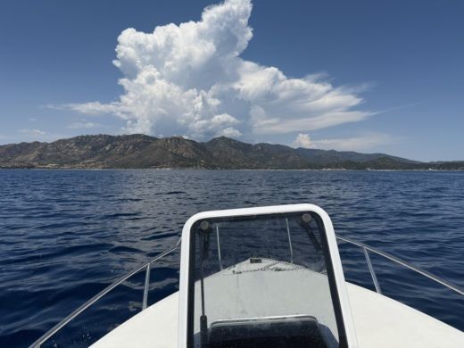 Crabonaxa Without license Lamberti Lamberti 20.5 alt tag text