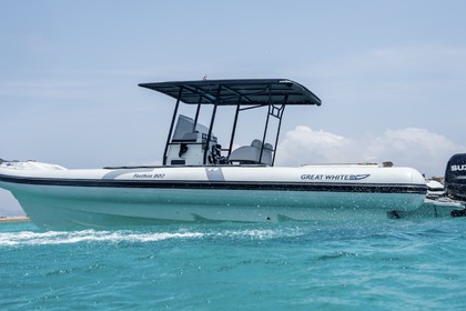 Location Semi-rigide PEGASUS GREAT WHITE Mykonos