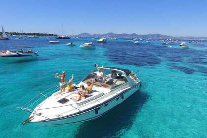 Charter Motorboat FAIRLINE TARGA 33 Cannes