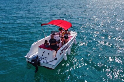 Miete Boot ohne Führerschein  OLBAP OLBAP 5 Valencia
