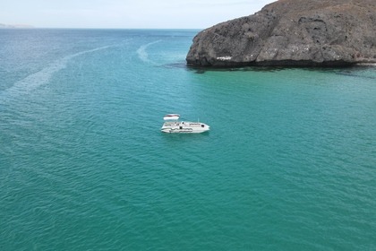 Charter Motorboat Advantage 28 party cat xl La Paz