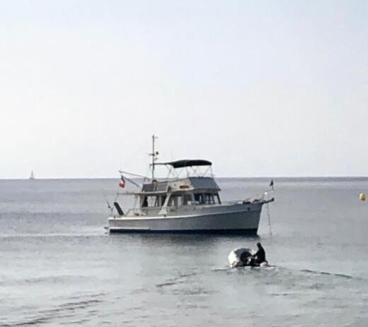 Grimaud Motorboat GRAND BANKS EUROPA 42 alt tag text