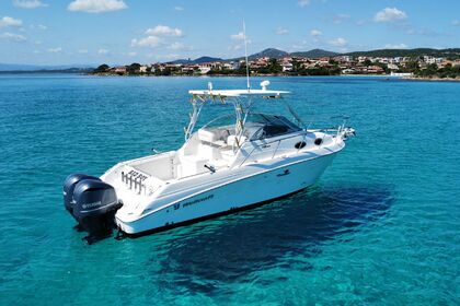 Чартер Моторная яхта Wellcraft Coastal 290 Ольбия