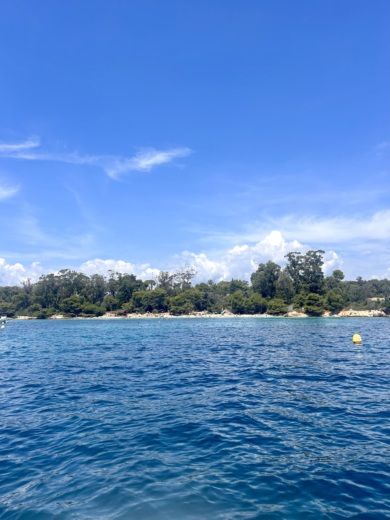 Κάννες Motorboat Bayliner Vr4 alt tag text