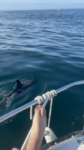 La Forêt-Fouesnant Motorboat CAP FERRET B2 Marine 500 alt tag text