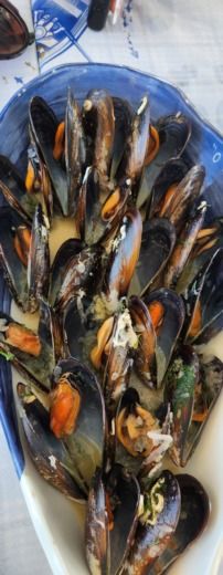 Atene Sailboat BAVARIA 49 alt tag text