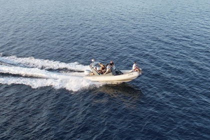 Noleggio Gommone Shark 23 23 Zara