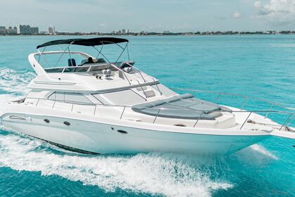 Ενοικίαση Μηχανοκίνητο σκάφος Sea Ray Flybridge Κανκούν