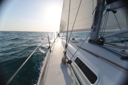 Charter Sailboat Dufour Dufour 44 Performance Badalona
