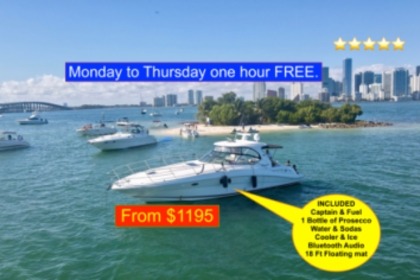 Aluguel Lancha Sea Ray Sundancer 440 Miami
