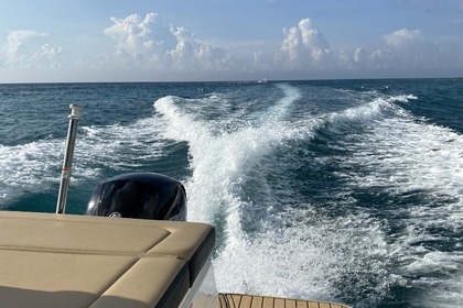Rental Motorboat Sea Ray SPX 230 Cozumel
