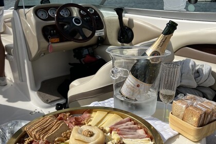 Aluguel Lancha Chaparral 210 SSI Sundeck Lisboa