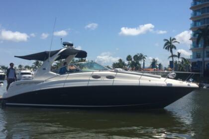 Charter Motorboat Sea Ray 340 Puerto Vallarta