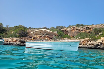 Charter Boat without licence  silver 495 Portocolom