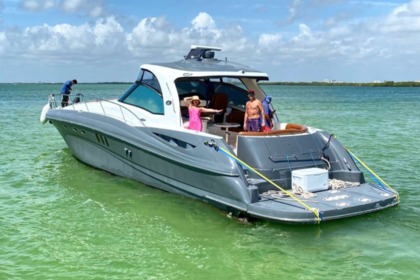 Charter Motorboat Sea Ray SUNDANCER Cancún