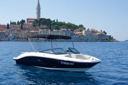 Charter Motorboat Sea Ray Black Diamond 210 Spx Rovinj