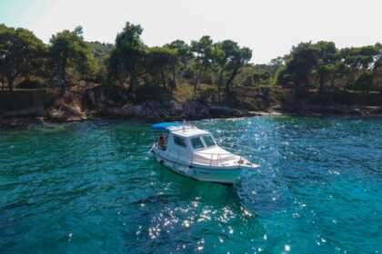 Miete Motorboot ARAUSA 25 (ONLY 4 HOUR TOURS) Zadar