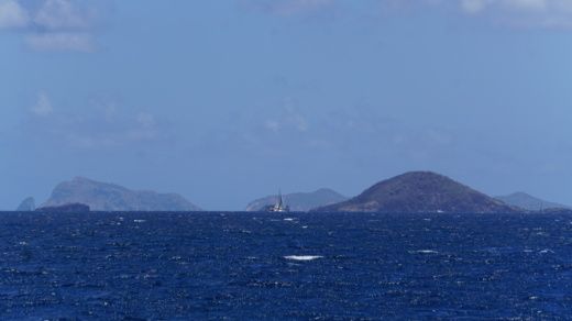 Le Marin Catamaran 2022 ISLA 40 alt tag text