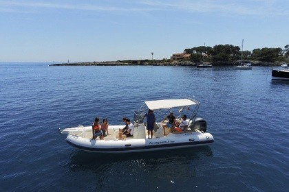 Charter RIB Capelli Tempest 700 Golfe Juan