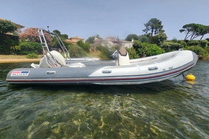 Location Semi-rigide Valiant 6m20 Evinrude 115 cv Porto-Vecchio