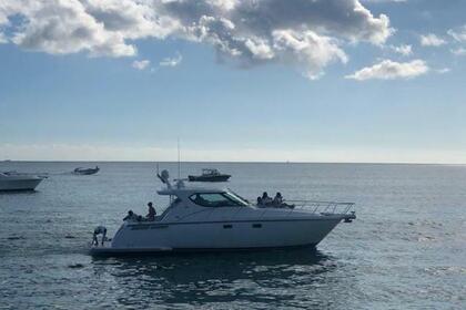 Hire Motorboat Tiara 43 La Romana