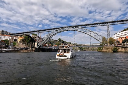 Hire Motorboat Princess princess Flybridge 45 Porto