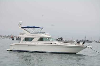 Alquiler Yate a motor Sea Ray Sedan Bridge Callao