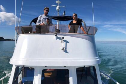 Miete Motorboot MARINE CORPORATION OCEAN 37 Argelès-sur-Mer