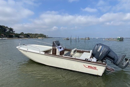 Location Bateau à moteur Boston Whaler 20 outrage Lège-Cap-Ferret