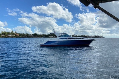 Rental Motorboat Chris Craft 43 La Romana