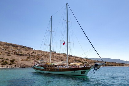 Hire Gulet CUSTOM 2003 Bodrum