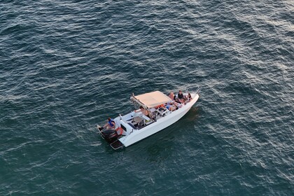 Alquiler Lancha Marinello Eden 22 Barcelona