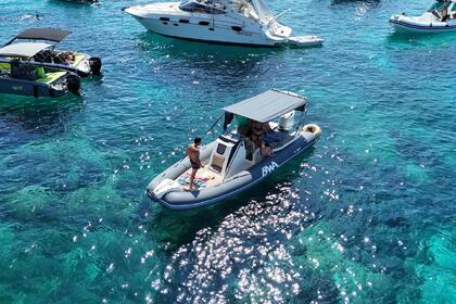 Rental RIB Bwa BWA 24 GTO SPORT Olbia