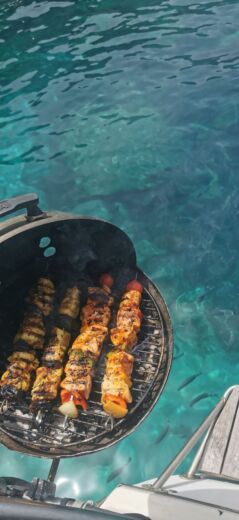 Ajaccio Sailboat CONYPLEX CONTEST 29 alt tag text