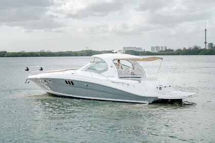 Czarter Łódź motorowa Sea Ray Sundancer Cancún