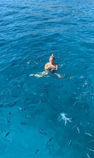 Пальма Motorboat Sunseeker Superhawk 48 alt tag text