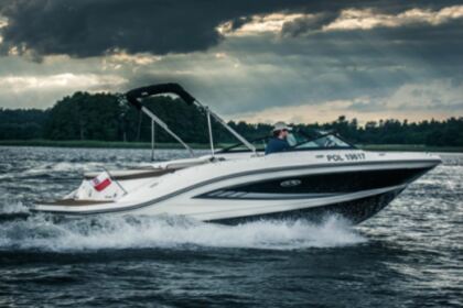 Czarter Łódź motorowa Sea Ray 210 Giżycko