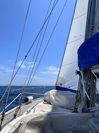 Канны Sailboat GUY COUACH V12 alt tag text