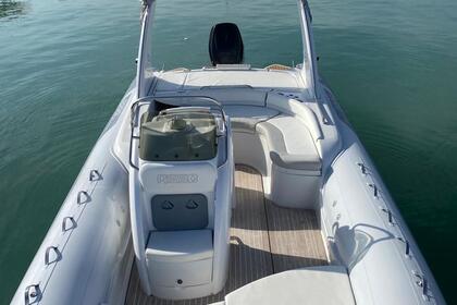 Noleggio Gommone Asso Charisma 830 Vieste