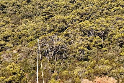 Чартер Парусная яхта Beneteau First 305 Ла-Сейн-сюр-Мер