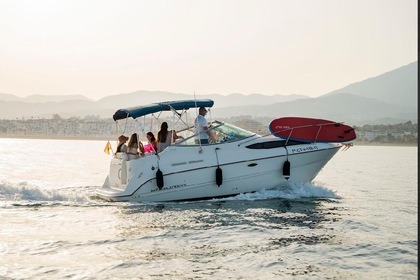 Alquiler Lancha Brunswick boat group 245 Sunbridge Marbella