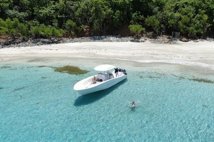 Rental Motorboat Cape Horn 32 center console Charlotte Amalie