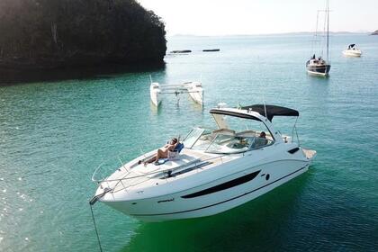 Aluguel Iate a motor Searay Searay Armação dos Búzios