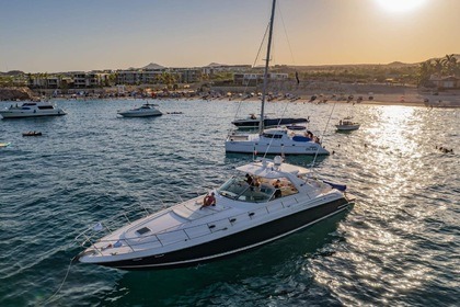 Charter Motor yacht Sea Ray Sundancer Cabo San Lucas