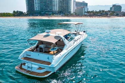 Rental Motorboat Sea Ray 400 Puerto Vallarta