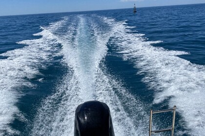 Location Bateau à moteur Quicksilver Quicksilver 5.5 Carnon Plage