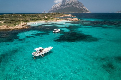 Hire Motorboat Robalo 760 Olbia