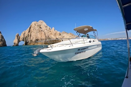 Charter Motorboat Infinity 29 Cabo San Lucas