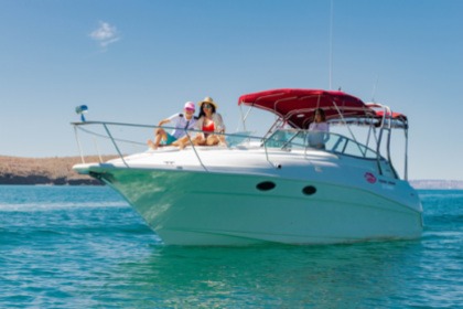 Rental Motorboat Cruisers Rogue 3175 La Paz