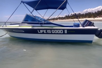 Rental Motorboat Chris Craft 30 Calypso Zanzibar